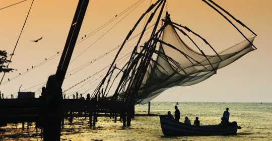 RF_India_Cochin_150927170.jpg