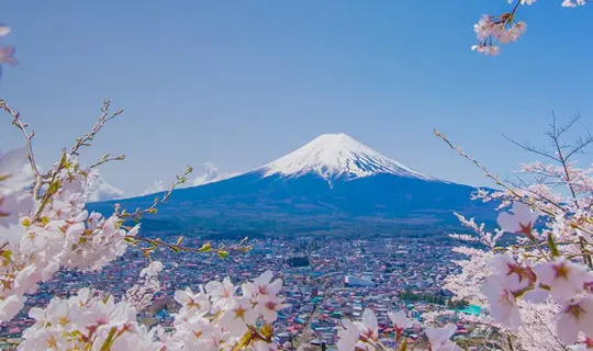 Mount Fuji and cherry blossom trees, Japan