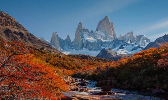 Snowy mountains between autumnal orange trees