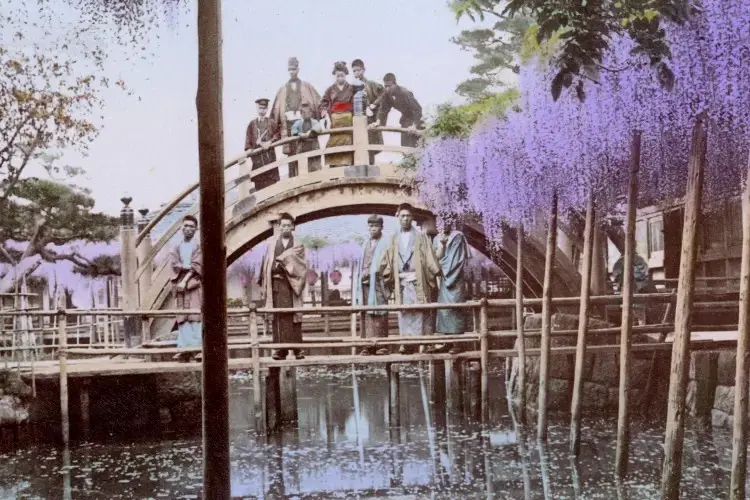 Japan RGS mobile 1.jpg