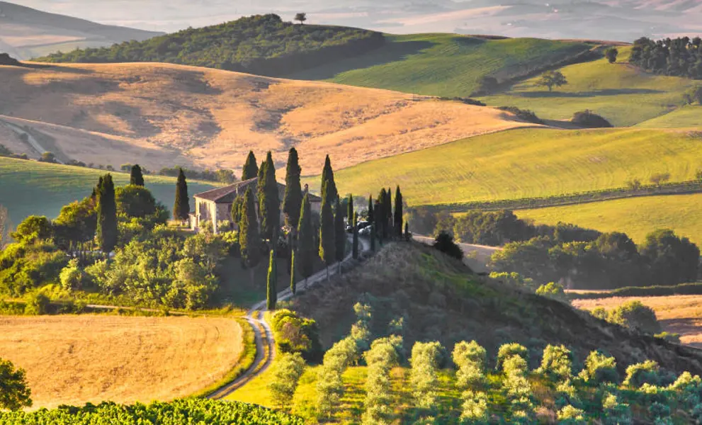 Tuscany fields 