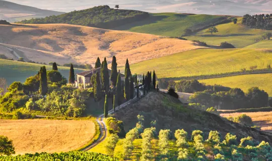 Tuscany fields