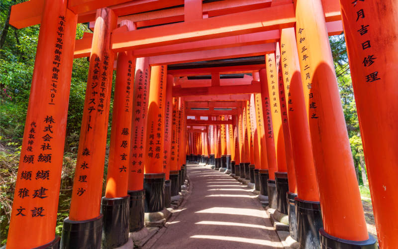 Japan-Kyoto-Torii-800x500