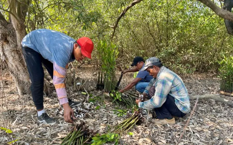 reforest_guatemala2_800x500.jpg