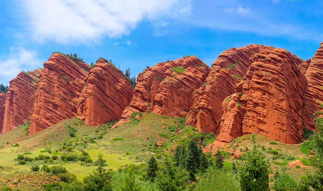 AdobeStock_524684973-2-2.jpg