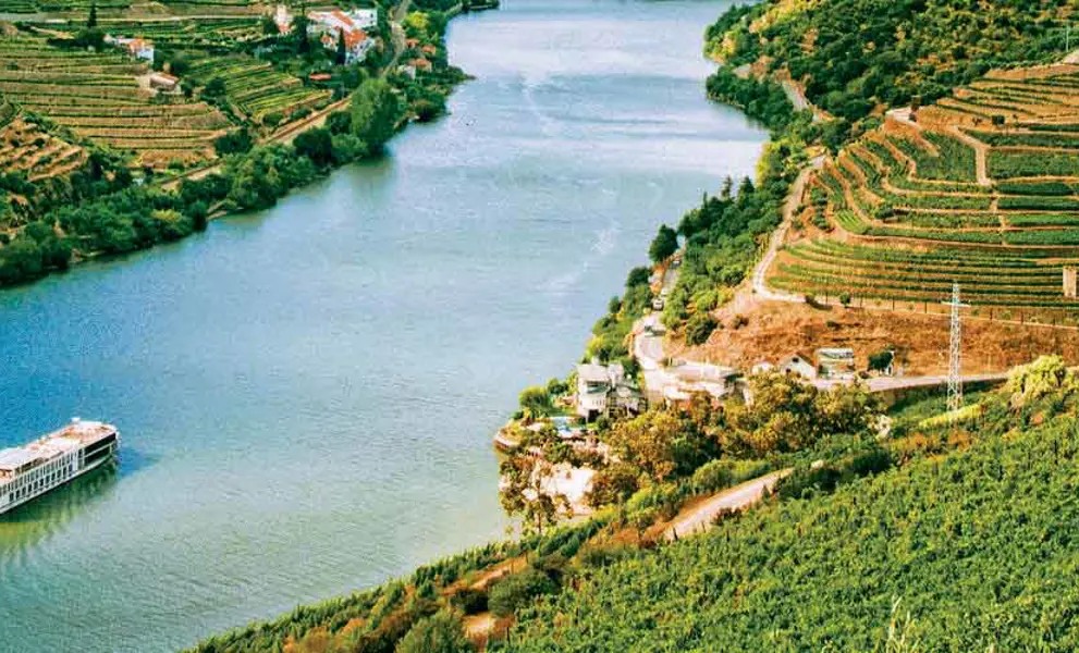 Cruising the Douro Valley 